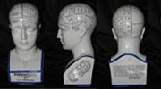 Five vews of a Phrenology head