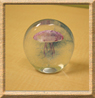 paperweight