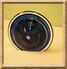 eyeball