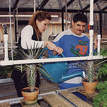 Work at the Greenhouse