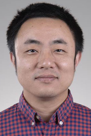 Tao Yang, Ph.D.