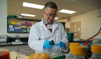 Photo of Dr. Jianmin Zhang working in his laboratory