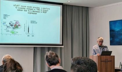 Photo of Dr. Kam Yeung giving presentation