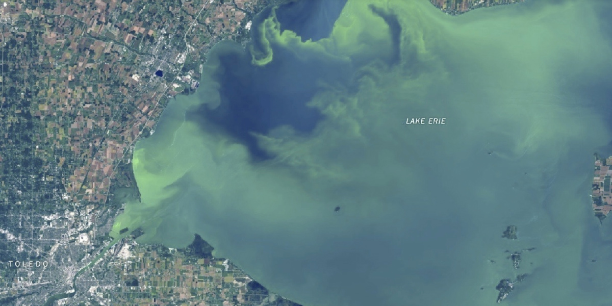 Lake Erie Algal Bloom