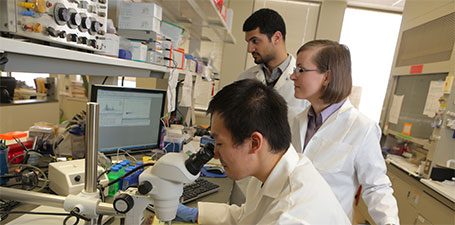 Faculty and students in lab
