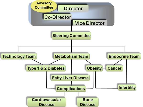 Research Org chart Ceder