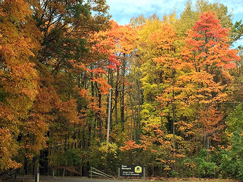 Secor metro park fall colors