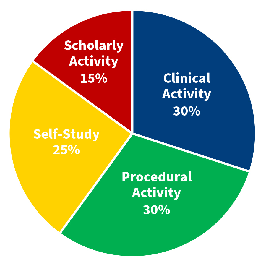 Education and Training Pie Chart showing four dedicated areas broken up by percentage.