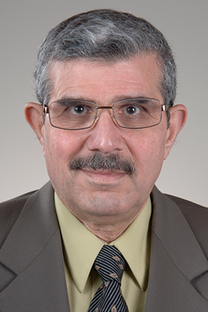 Sadik A. Khuder, DDS, MPH, PhD