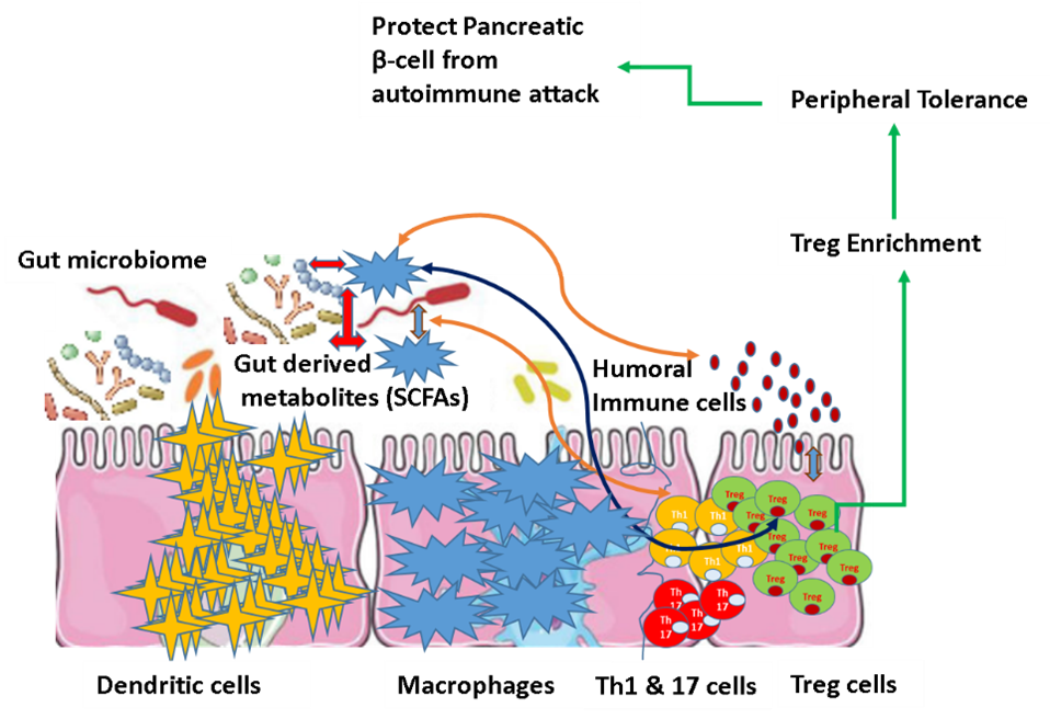 Protect Pancreatic