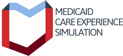 Mediciaid Equity Simulation