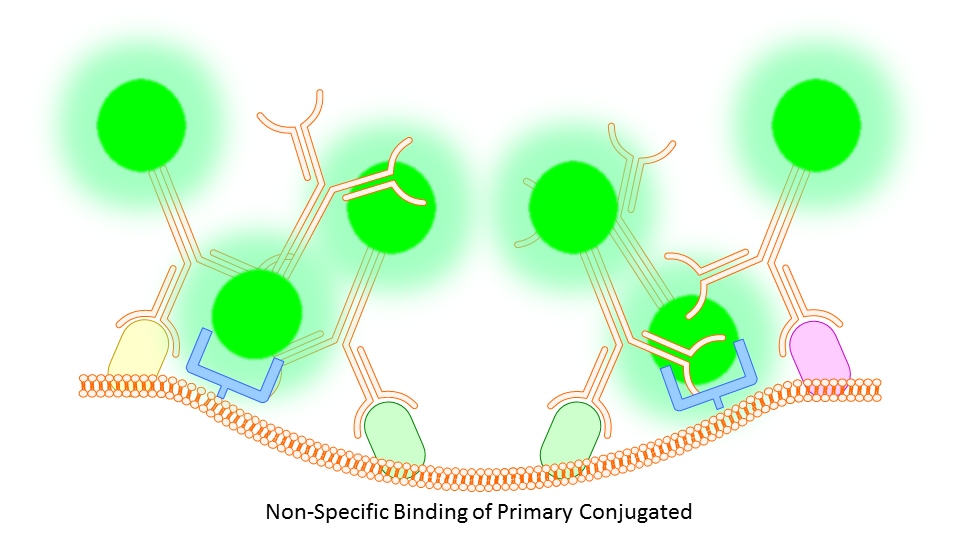 Flow Cytometry Basics