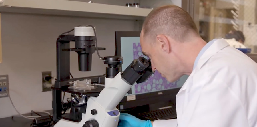 A researcher looks into a microscope near a computer.