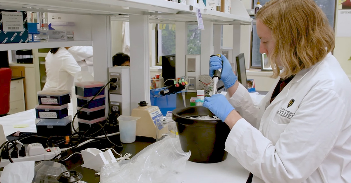 A researcher in a lab working at a bench.