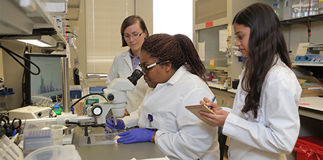 Students in the lab