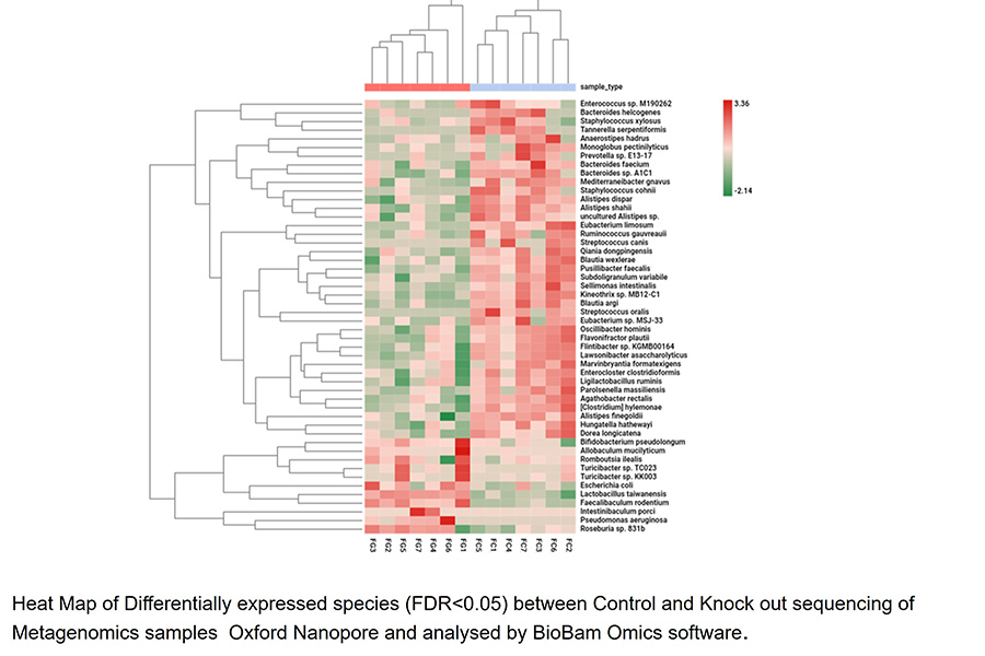 Heat map with hierarchical clustering showing differentially abundant microbial species between control and knockout samples; red indicates higher abundance and green lower abundance.