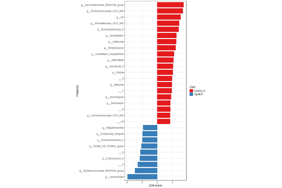 Horizontal bar chart of LEfSe results highlighting microbial taxa enriched in control versus knockout groups, with LDA scores indicating effect size.