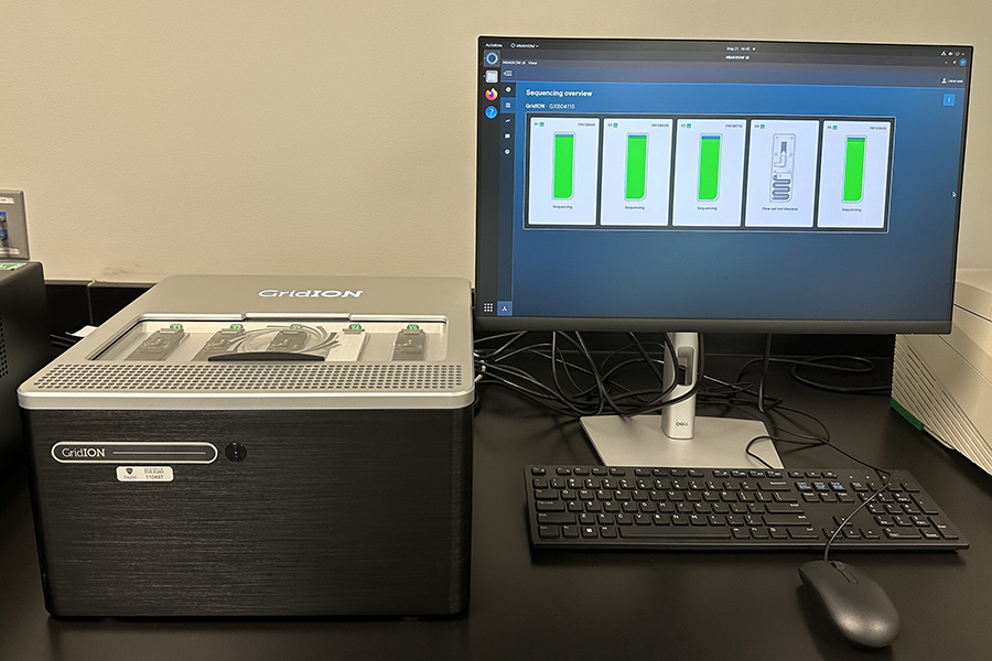 Oxford Nanopore GridION sequencing device connected to a computer displaying active sequencing runs for real-time genomic analysis.