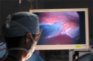 Surgeon viewing a computer screen