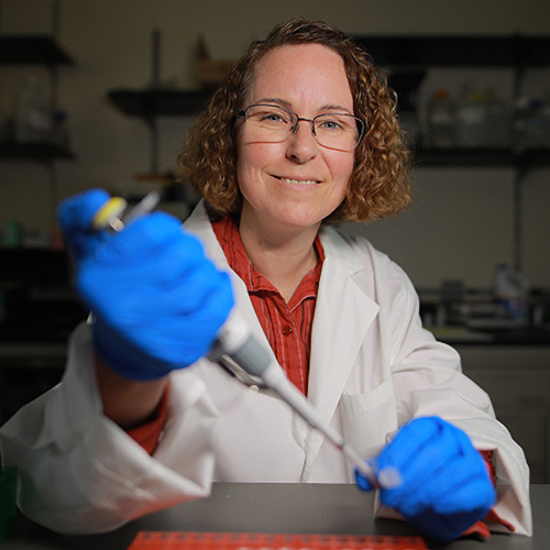 Dr. Jennifer Hill, associate professor in the Department of Physiology and Pharmacology and a neuroscientist who studies the endocrine system and reproductive health, in her lab.