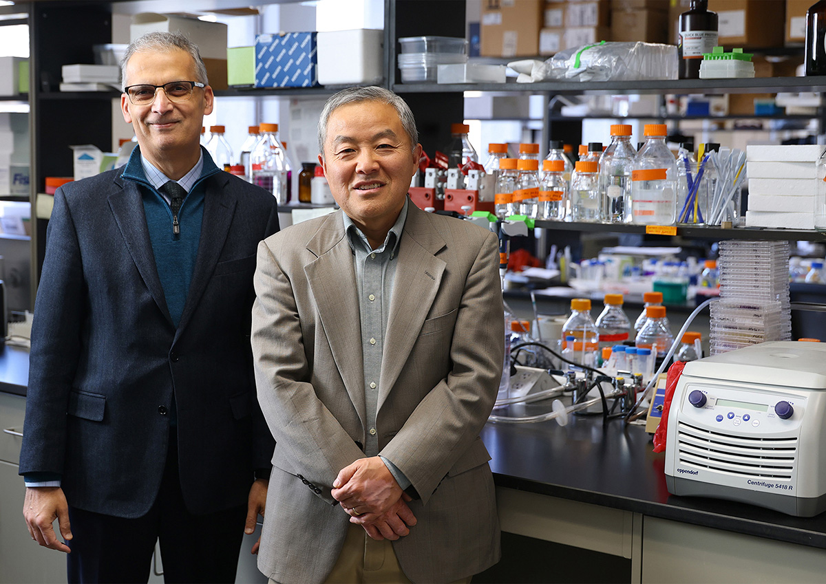 Dr. Imran Ali, left, is dean of the College of Medicine and Life Sciences, while Dr. Jian-Ting Zhang, right, is a professor in UToledo’s College of Medicine and Life Sciences and the inaugural director of the Northwest Ohio Cancer Research Institute.