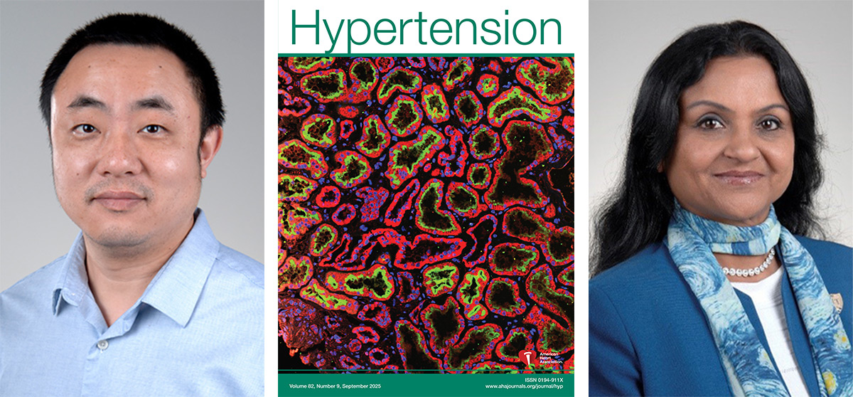 Side-by-side images of Dr. Tao Yang and Dr. Bina Joe with the September 2025 cover of the Hypertension journal shown between them.