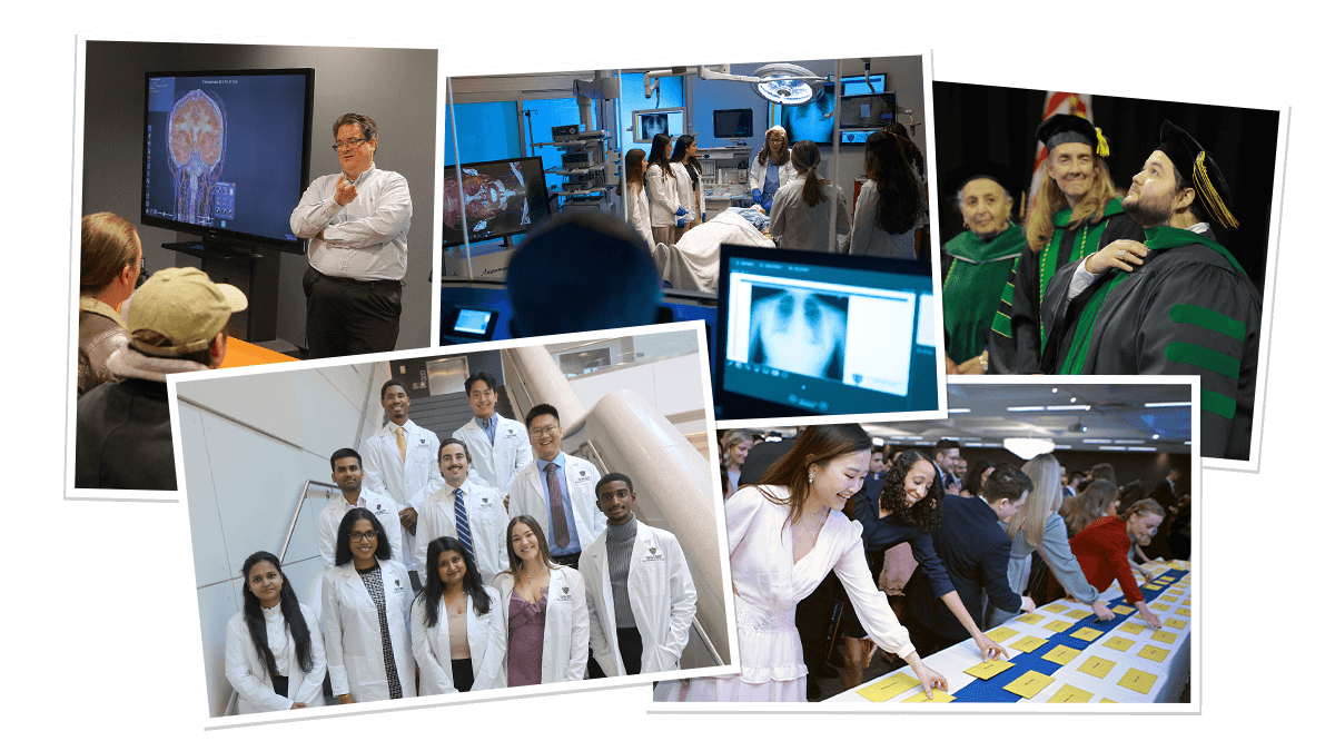 Photo collage highlighting the College of Medicine and Life Sciences in 2025, including faculty teaching with medical imaging, students in simulation-based clinical training, learners in white coats, commencement moments, and medical students celebrating Match Day.