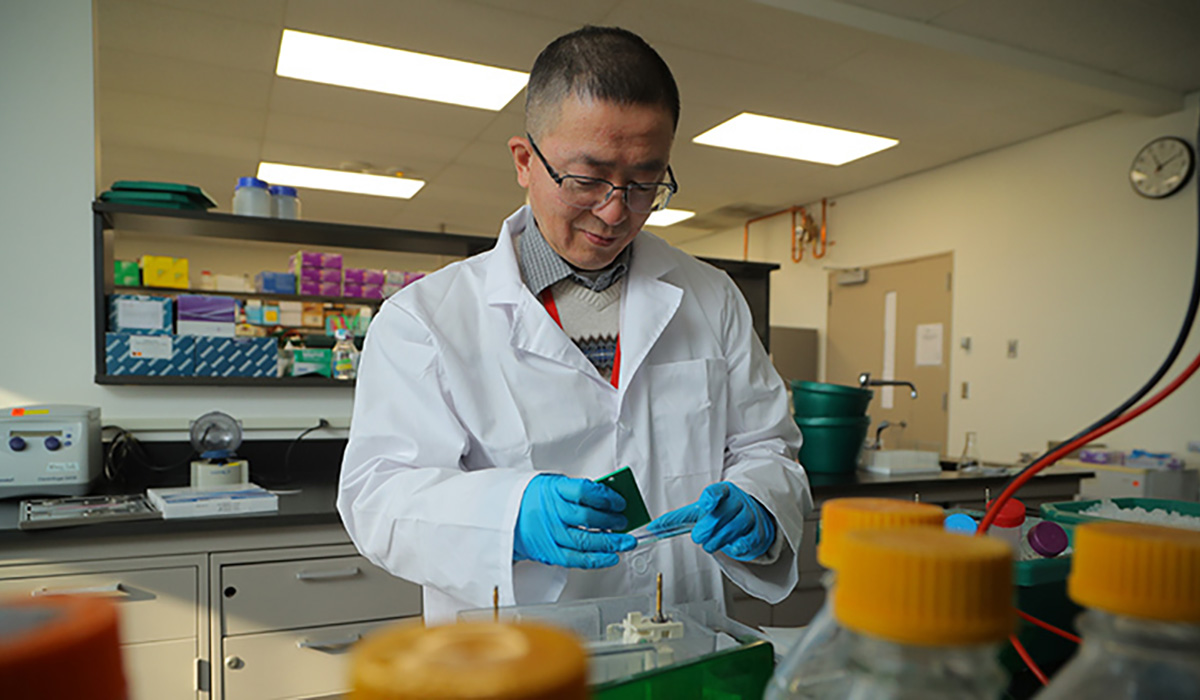 Portrait of Dr. Jianmin Zhang, a professor in the Department of Cell and Cancer Biology, working in his research lab.