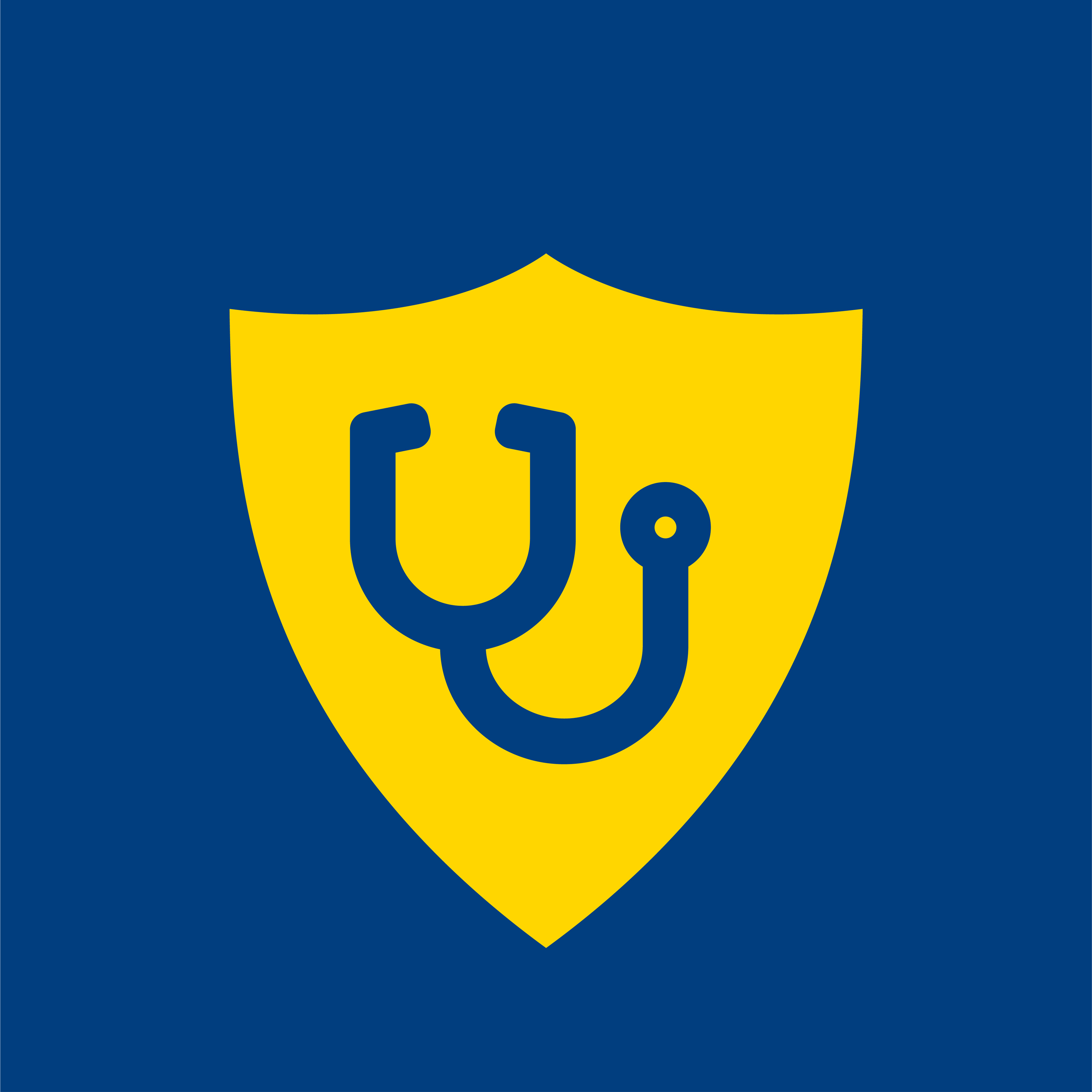 Facebook profile image - shield icon with stethoscope