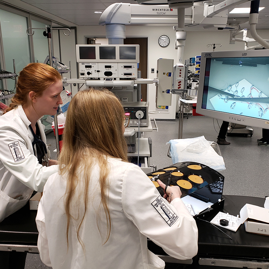 Foundational Science Students Working in the UToledo Simulation Center