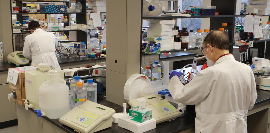 Photo of researchers working in a lab