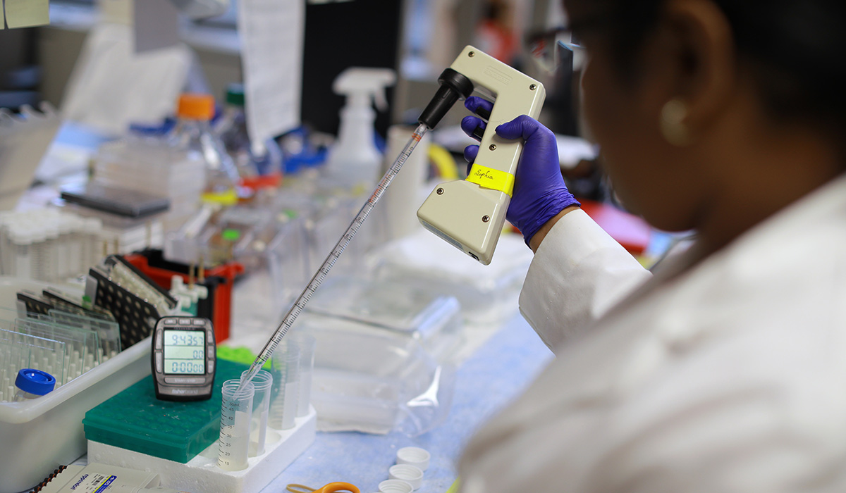 A stock image of a researcher in a lab on Health Science Campus.