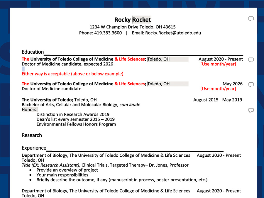 Screenshot of CV template for Rocky Rocket