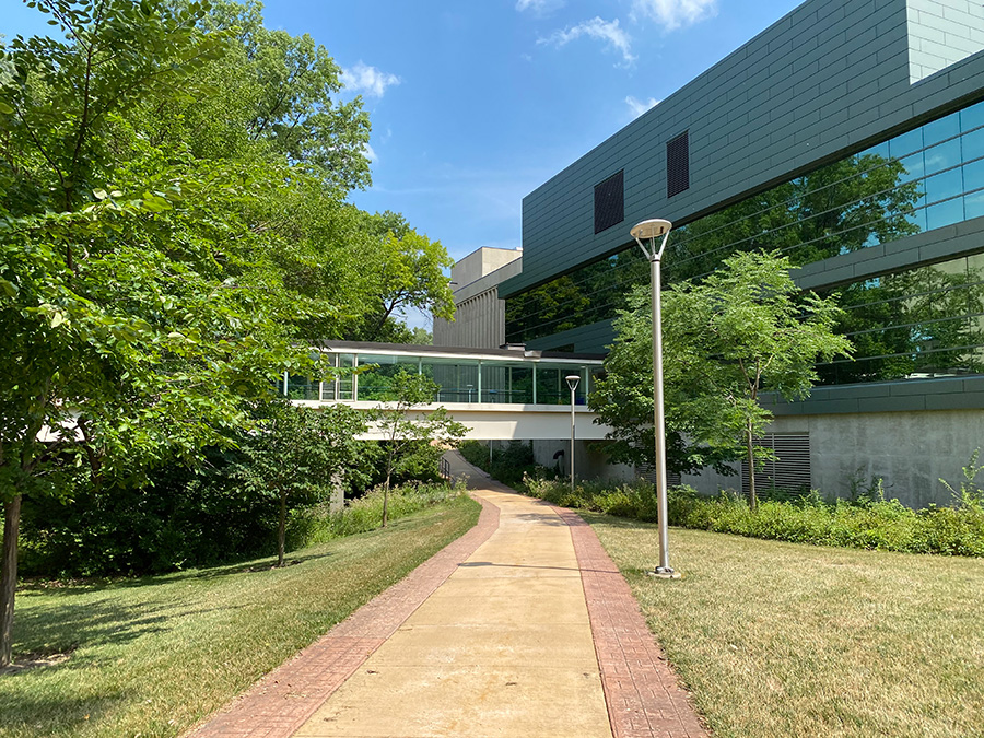 A photo of campus, featuring green trees and grass, with the bridge between Mulford Library and Wolfe Center in the background.