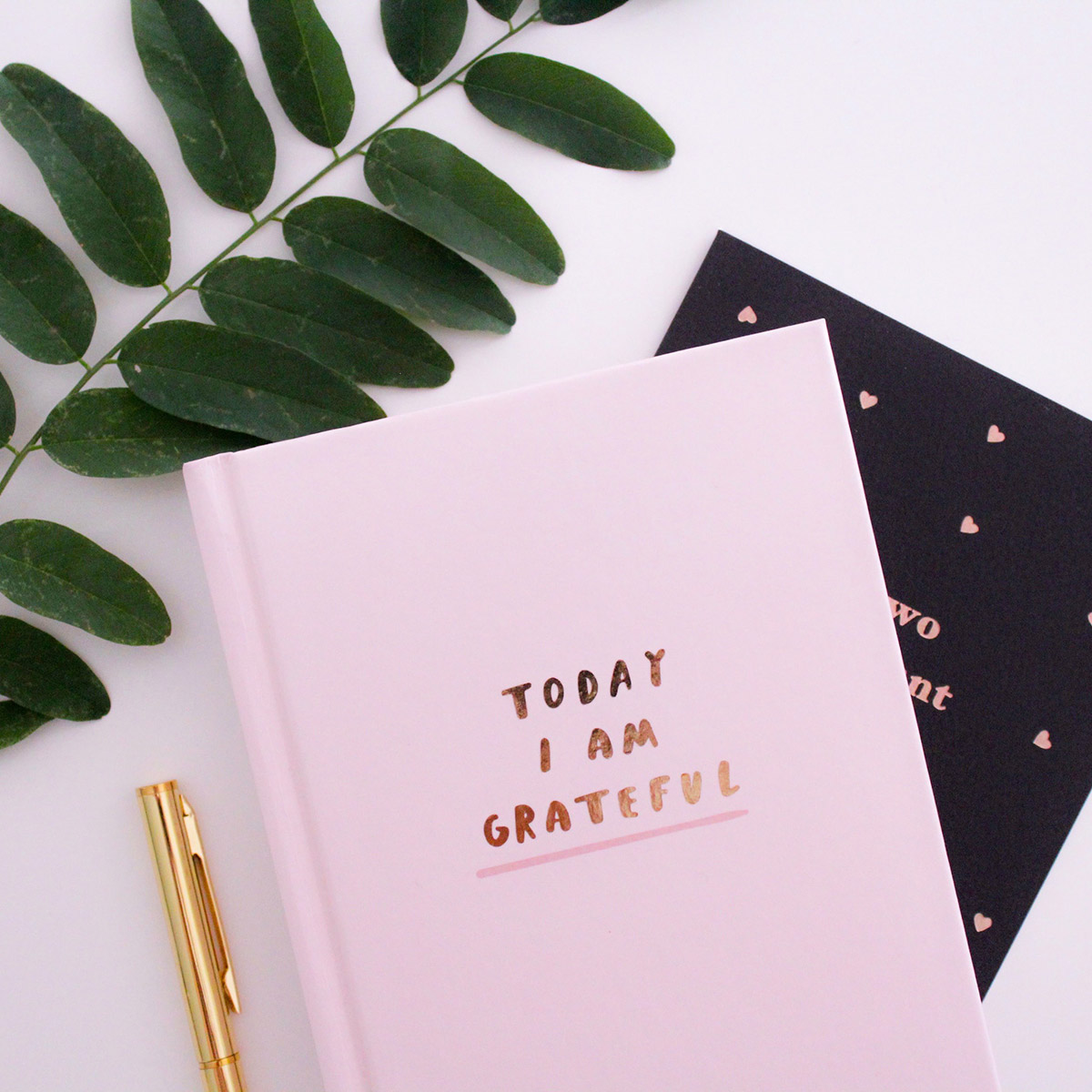 Journal with "Today I am grateful" written on the cover.