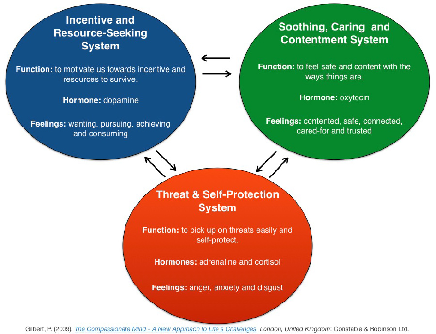 Compassionate Mind chart showing different bubbles for Incentive and Resource-Seeking System; Soothing, Caring and Contentment System; and Threat and Self-Protection System.