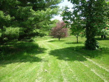 Stranahan Arboretum