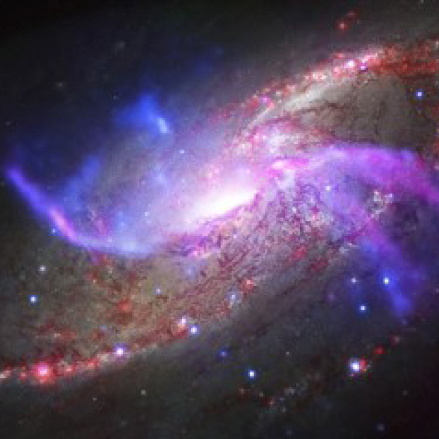 Galaxy Evolution and Cosmology