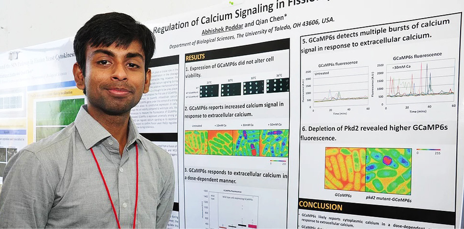 biology undergraduate research