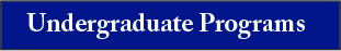 Undergraduate Programs