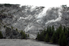 Yellowstone National Park