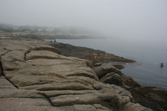 Camp Neddick ME Maine Coast