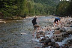 New Hampshire