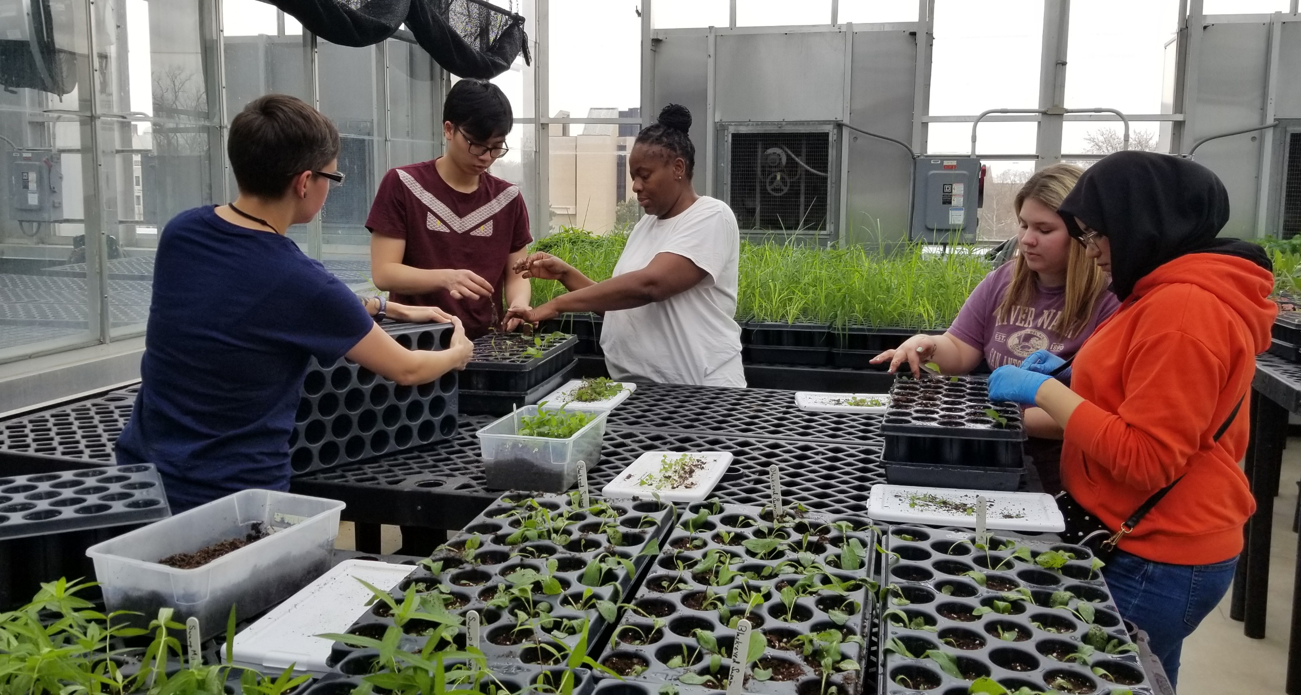 service learners in upstairs greenhouse