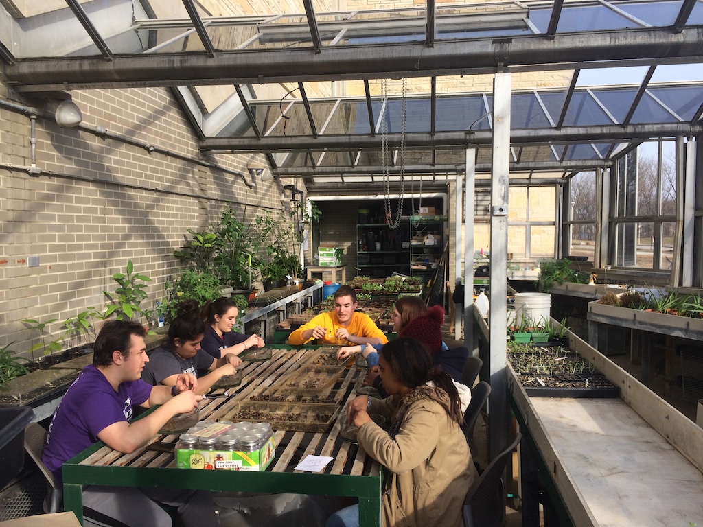 students in greenhouse