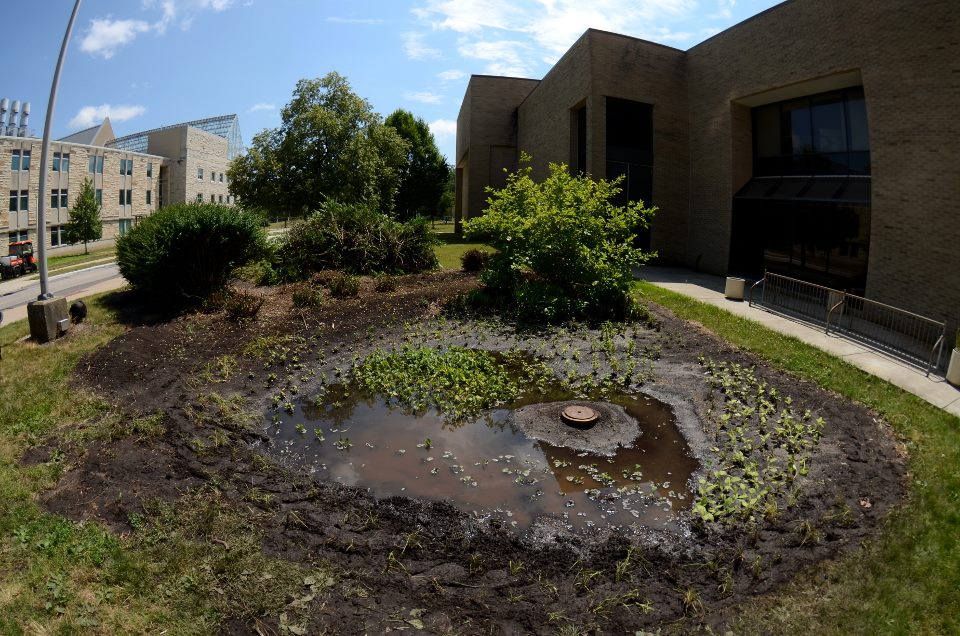 CPA Rain Garden holding water