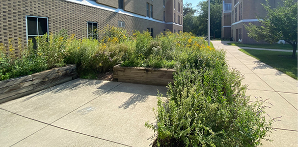 Academic House Prairie