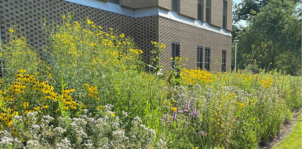 Academic House Prairie