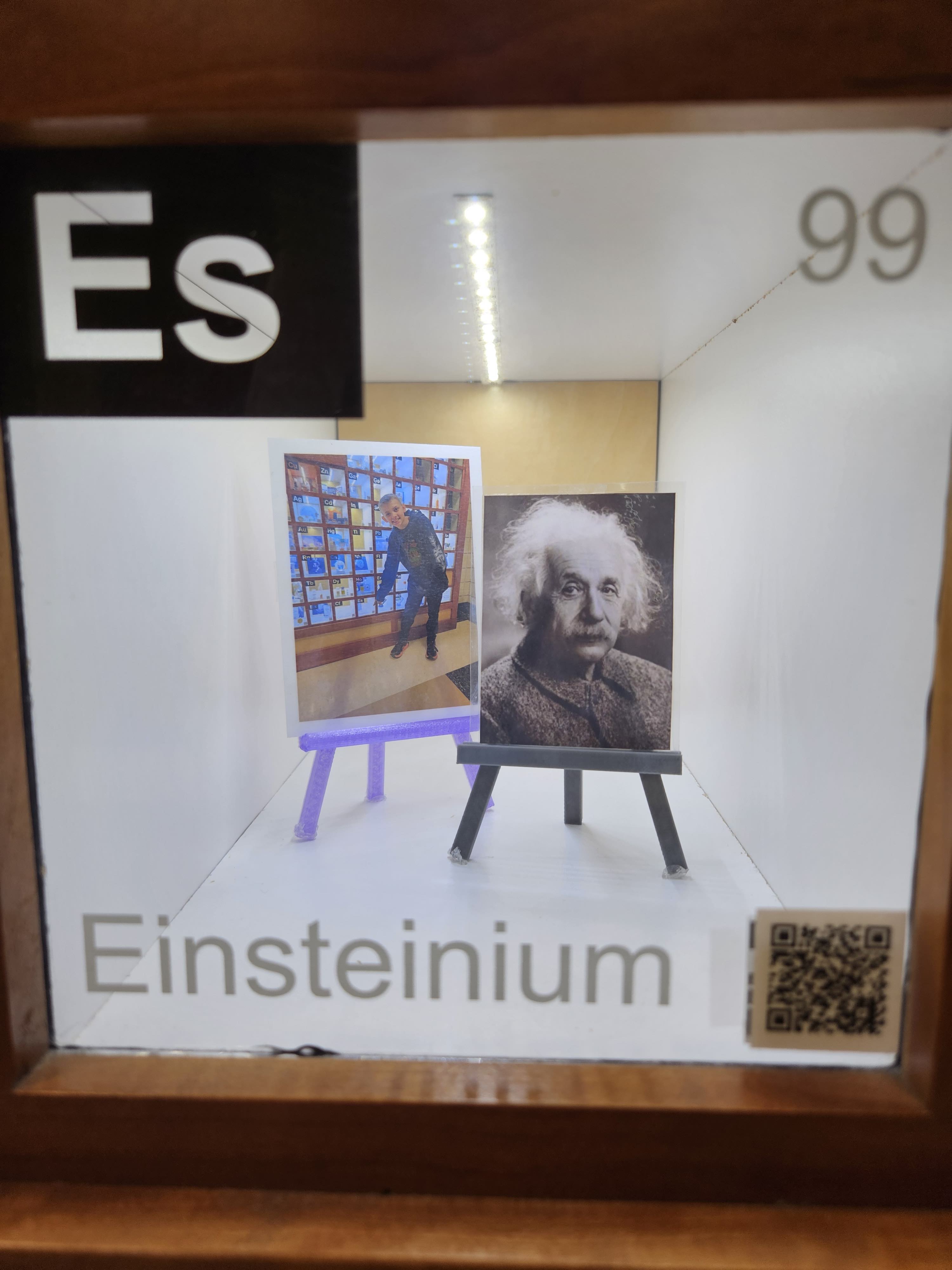 Display box in Living Science - The Ever-Changing Periodic Table for Einsteinium. 