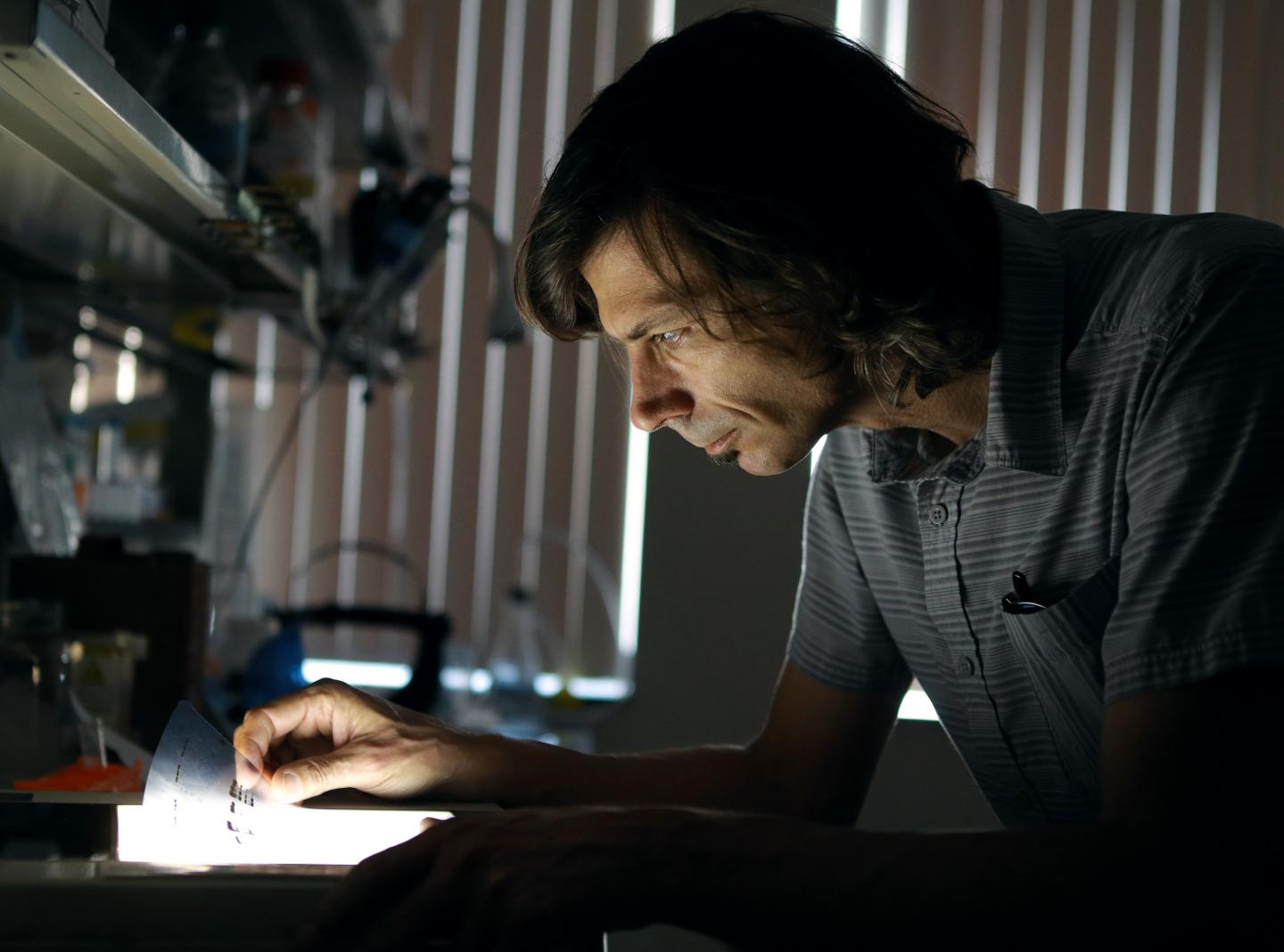 a man looking at a transparent page over a light table in a darkened lab